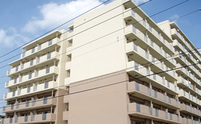 県営住宅完成